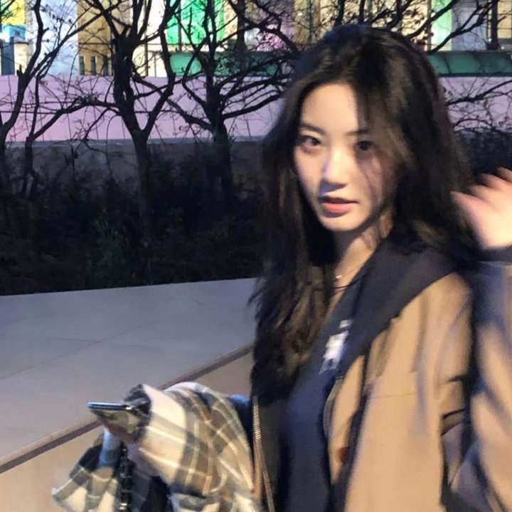 鳄鱼邓迪在洛杉矶
